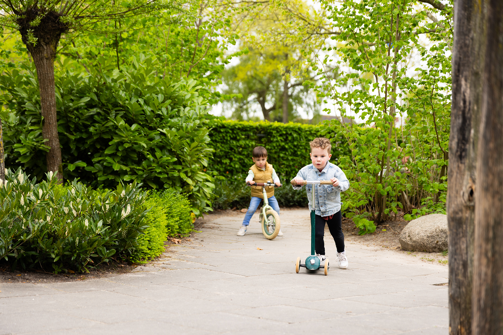 kinderopvang tilburg reeshof