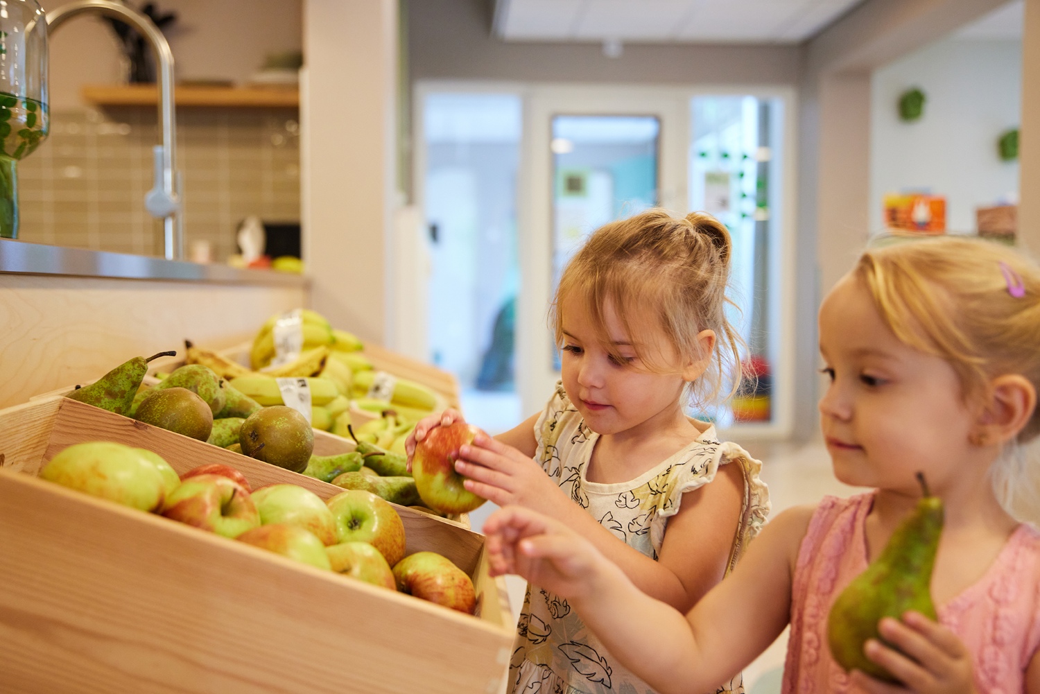 Fruit Lindetuin