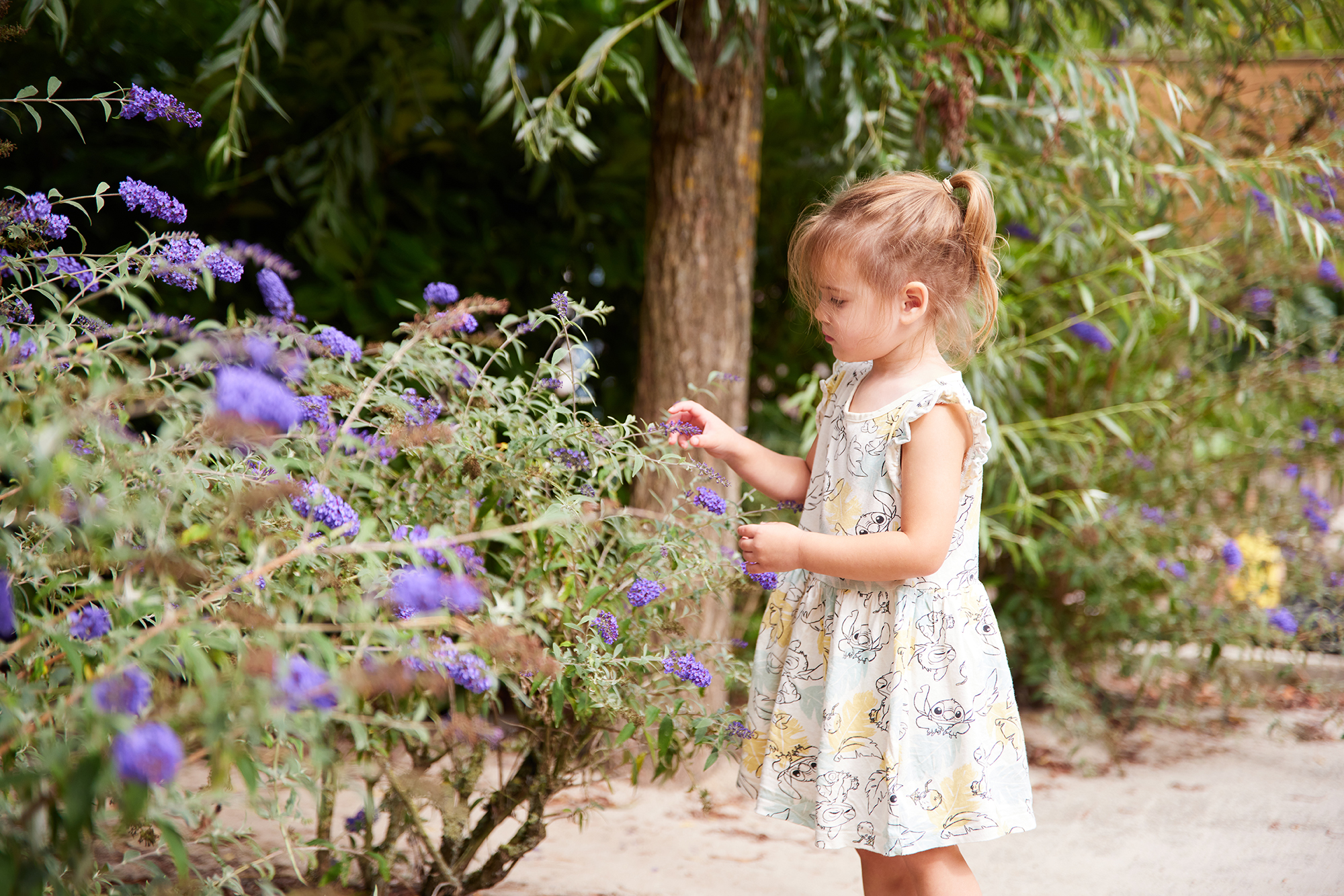 kinderdagverblijf reeshof lindetuin