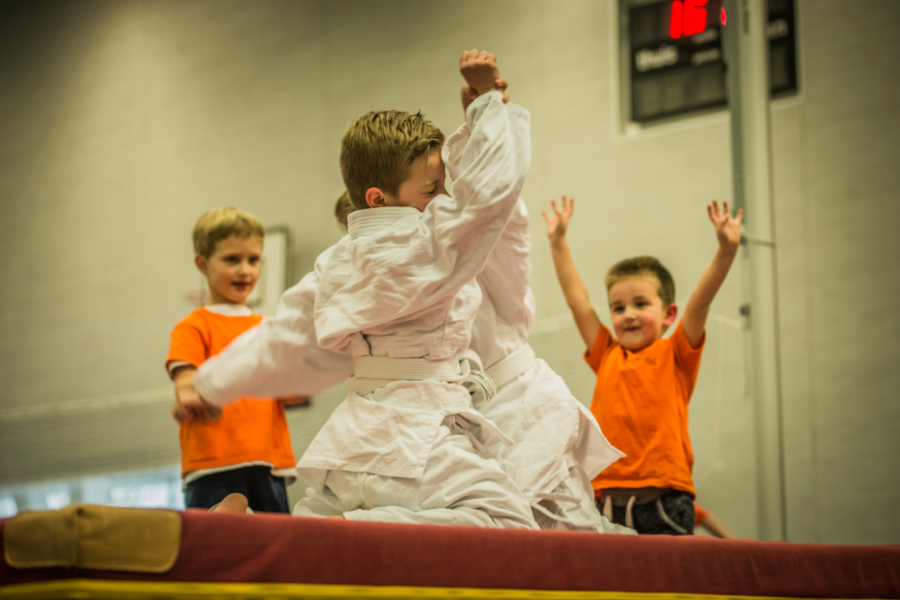 Sportieve Pedagogisch Professional Sport BSO Reeshof